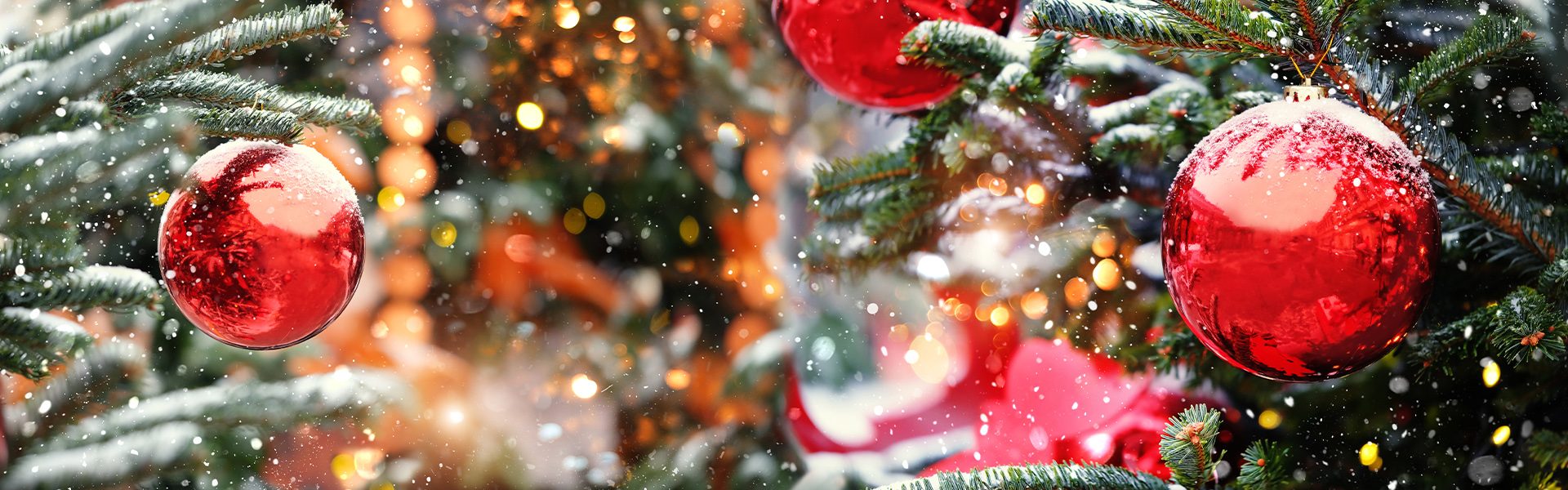 05_Bild-Angebot-Dezember 2025 Kopie